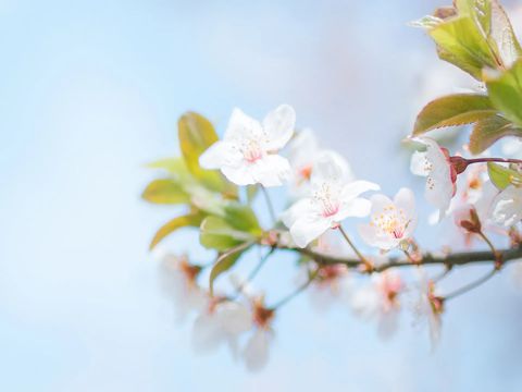 祝妈妈生日快乐的祝福语 妈妈生日发朋友圈的温暖句子