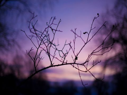 大暑节气祝福短信 大暑天气到，蚊子对你叫