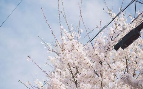 精选小清新女生个性签名大全 我们会像两条直线一样