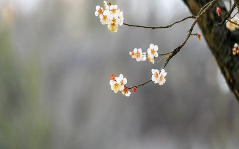 关于感谢父亲发红包的祝福句子 我爱您，儿子自有儿子的报答