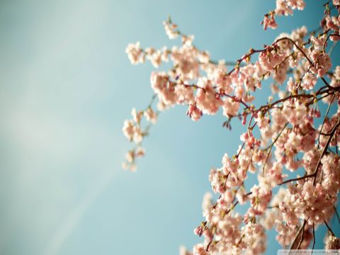 小满节气养生祝福语 小满节气到，养生最重要