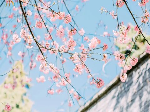 教师节送给老师感动的话 让老师感动的暖心句子