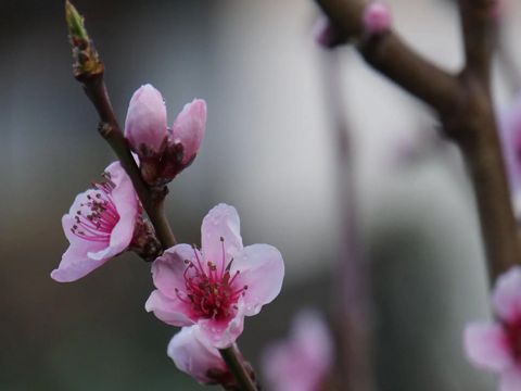 2022端午节温馨祝福语带图片 端午节走心温暖的祝福语说说