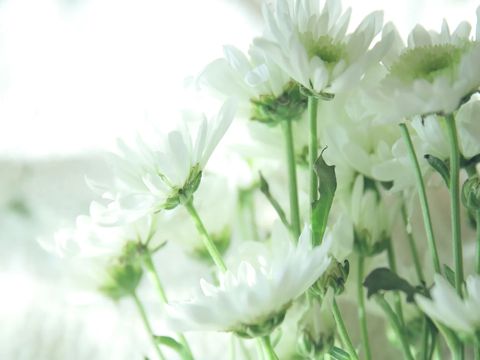 教师节朋友圈心情说说 9.10教师节说说简短