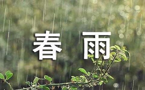 描写春雨绵绵的优美句子（精选300句）