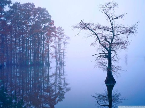 祝老师中秋节快乐的句子  敬爱的老师，您的教导使我认识了如此美丽的世界