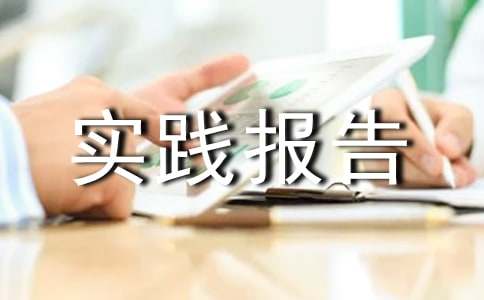 在双选会寒假社会实践报告