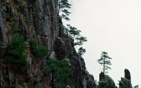 愚人节朋友圈适合发什么  这一天有多少人开着玩笑说着心里话