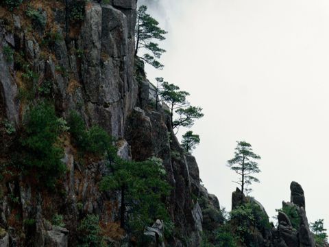 愚人节朋友圈适合发什么  这一天有多少人开着玩笑说着心里话