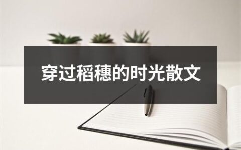 穿过稻穗的时光散文美文摘抄