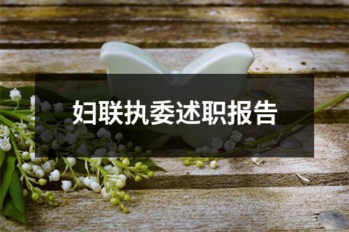 妇联执委述职报告