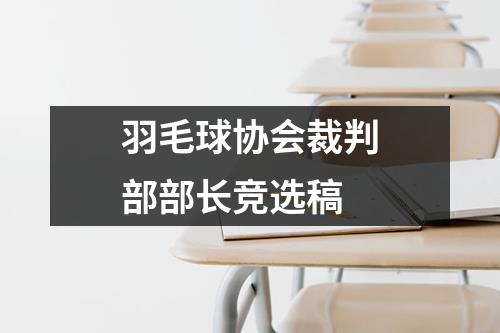 羽毛球协会裁判部部长竞选稿