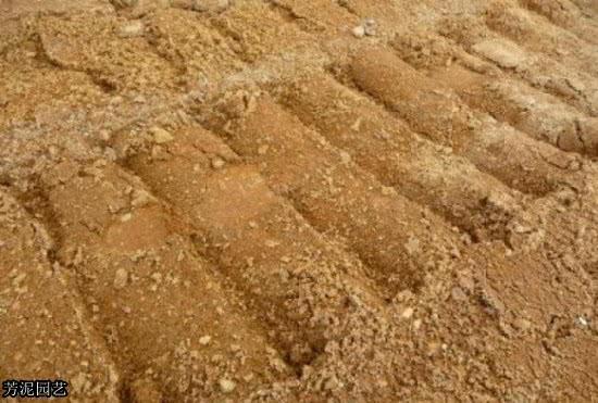 砂质壤土适合种什么（科普沙质土壤和砂质土壤区别）