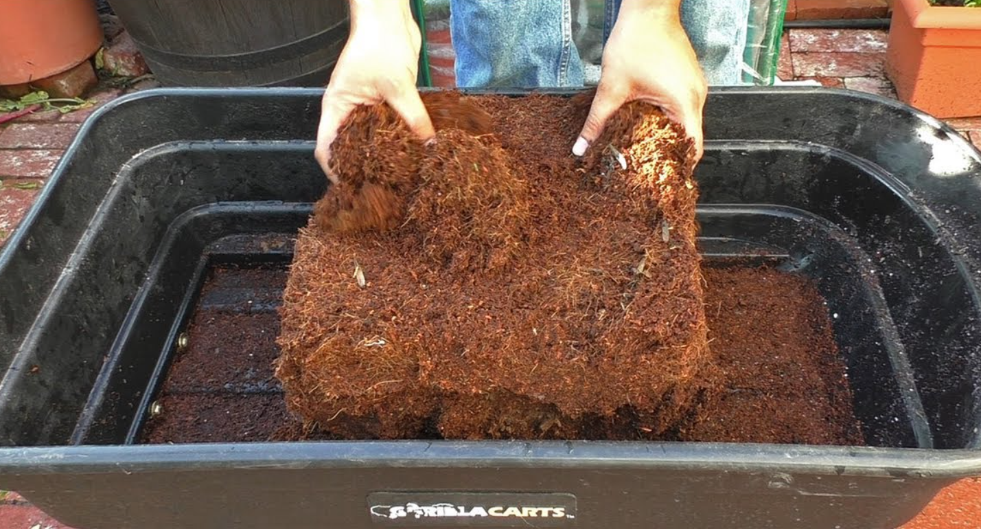 泥炭土可以直接种花吗（草炭土和泥炭土的区别）