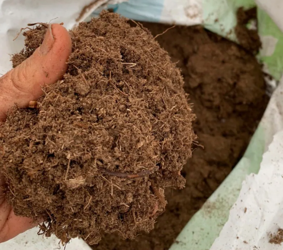 泥炭土可以直接种花吗（草炭土和泥炭土的区别）