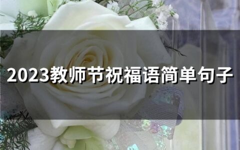 简短教师节贺卡祝福语大全（关于感恩老师的最佳句子）