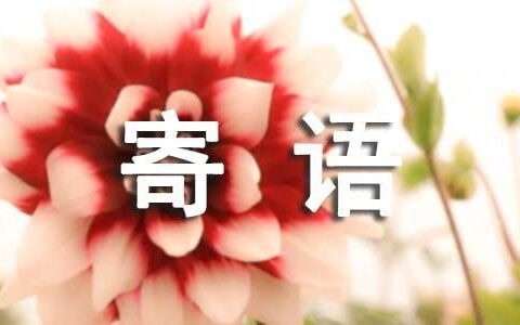 经典中考祝福寄语（通用40句）